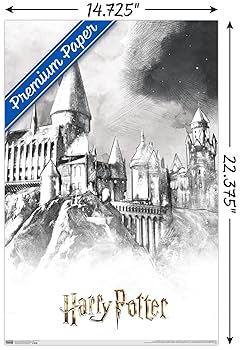 Amazon.co.jp: Trends International Wizarding World:ハリー